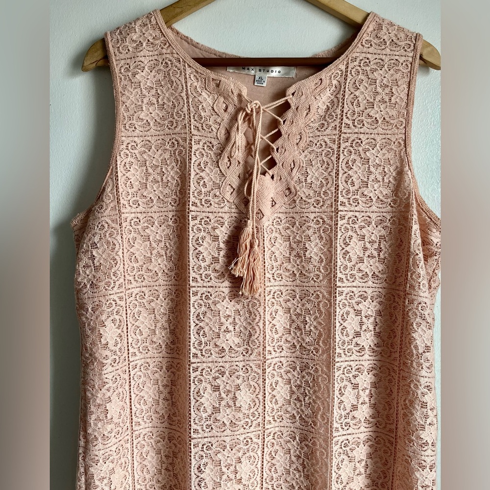 MAX STUDIO Blush Lace Sleeveless Dress - Picture 3 of 9